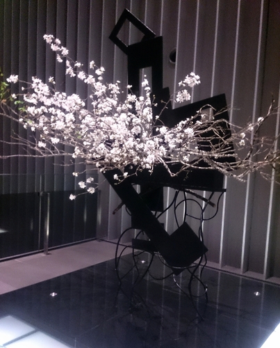 sakura… | Tutor yurino's Column - Cafetalk