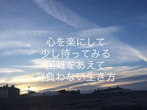 섬네일