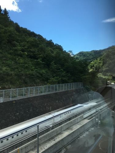 섬네일