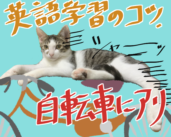 英語学習のコツ、自転車にアリ! Tutor Yumi.Au0027s Column - Cafetalk