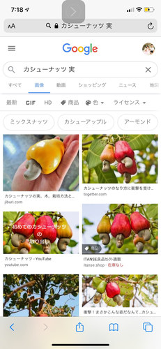 カシューナッツの実 カシューアップルジュース Keiko E 講師コラム Cafetalk