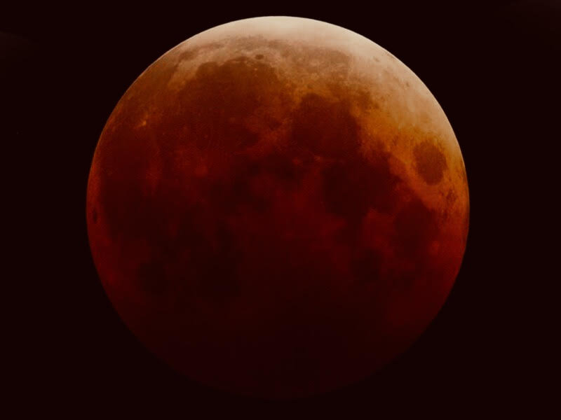 皆既月食とスーパームーン満月瞑想 あなたの境界線を守る 花瞑想 Spiritual Counselor Keiko 講師コラム Cafetalk