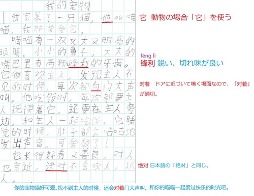 Online Lesson 中国語作文添削