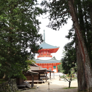 レッスンイメージ