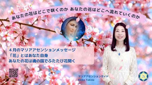 4月マリアメッセージ「あなたの花はどこで咲くのか？あなたの花はどこ