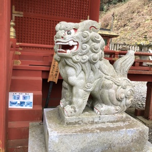 Lesson image