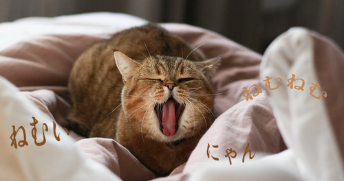 섬네일