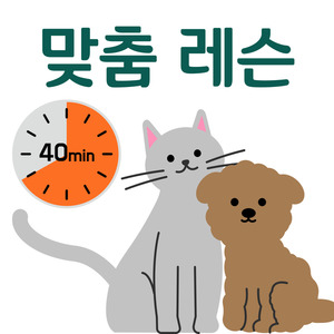 Lesson image