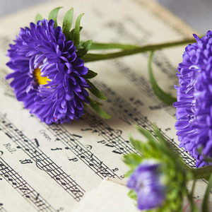 Lesson image
