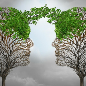 Lesson image