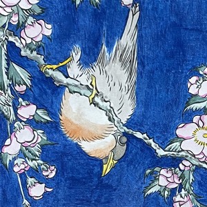 Lesson image