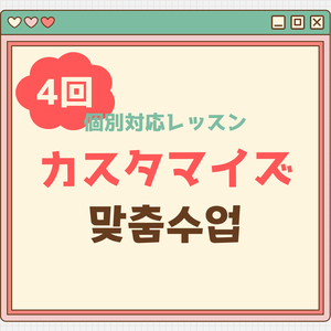 [30分X4回]カスタマイズレッスン