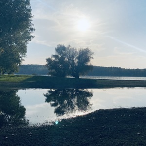 レッスンイメージ