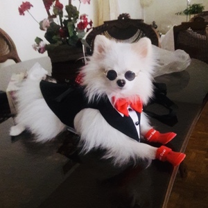 レッスンイメージ