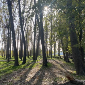 レッスンイメージ