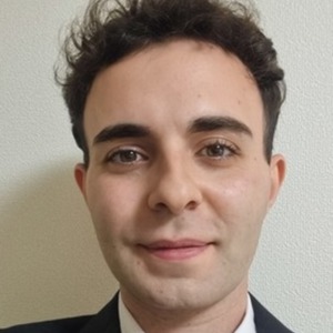 Lorenzo Ingarozza image