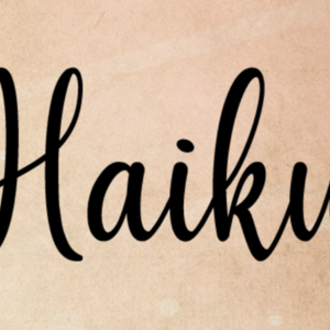 レッスンイメージ