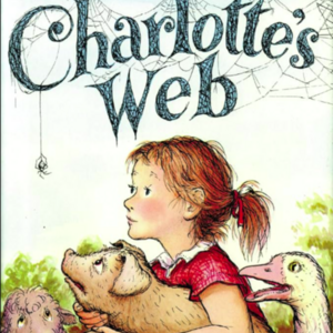 レッスンイメージ