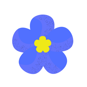 レッスンイメージ