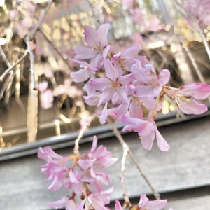 レッスンイメージ