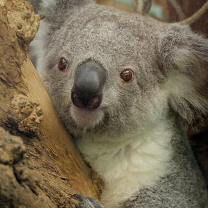 レッスンイメージ