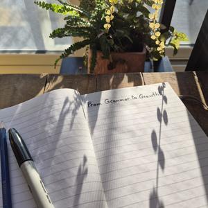 Lesson image