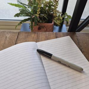 Lesson image