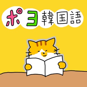 【韓国語作文】　自然な韓国語添削＋韓国語音声ファイル＋イントネーション・発音矯正＋丁寧フィードバック付き