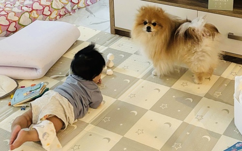 섬네일