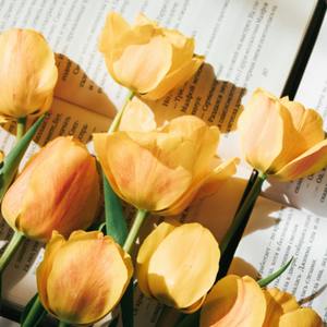 Lesson image