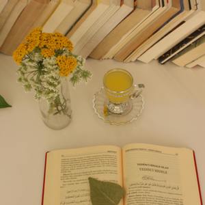 Lesson image