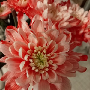 Lesson image