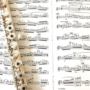 Lesson image