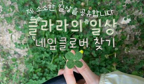 섬네일