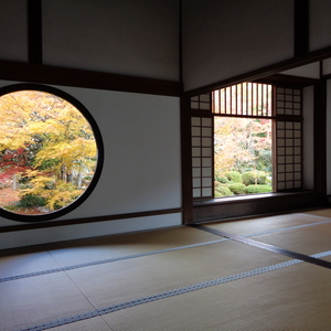 Lesson image