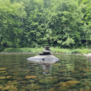 Lesson image