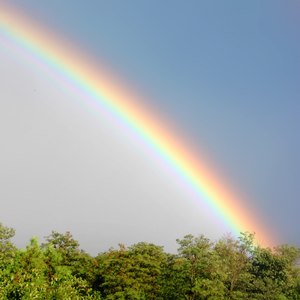 Lesson image