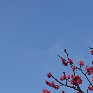 Lesson image