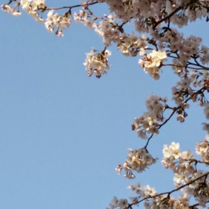 Lesson image