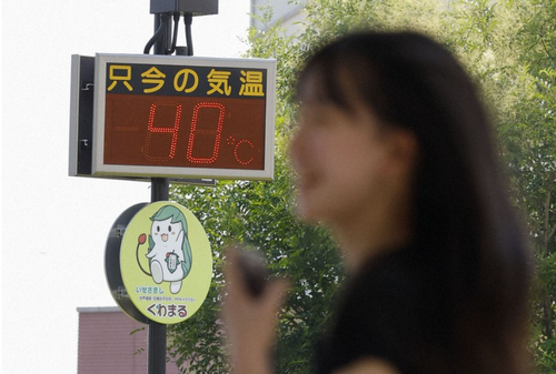 섬네일