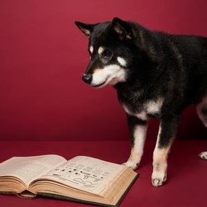 Lesson image