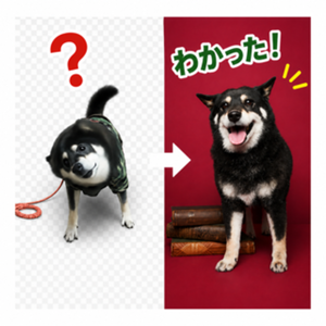 Lesson image