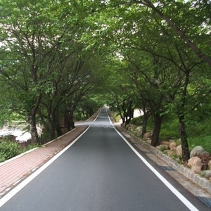 Lesson image