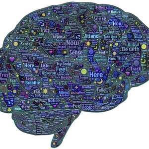 Lesson image