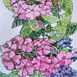 Lesson image