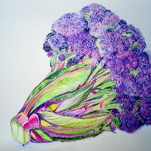 Lesson image