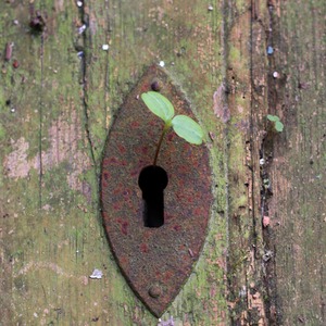 Lesson image