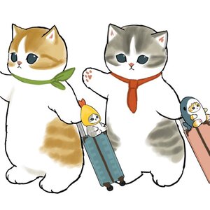 Lesson image