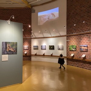 Lesson image