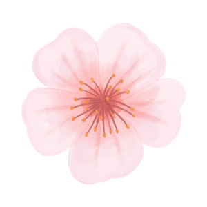 레슨 이미지